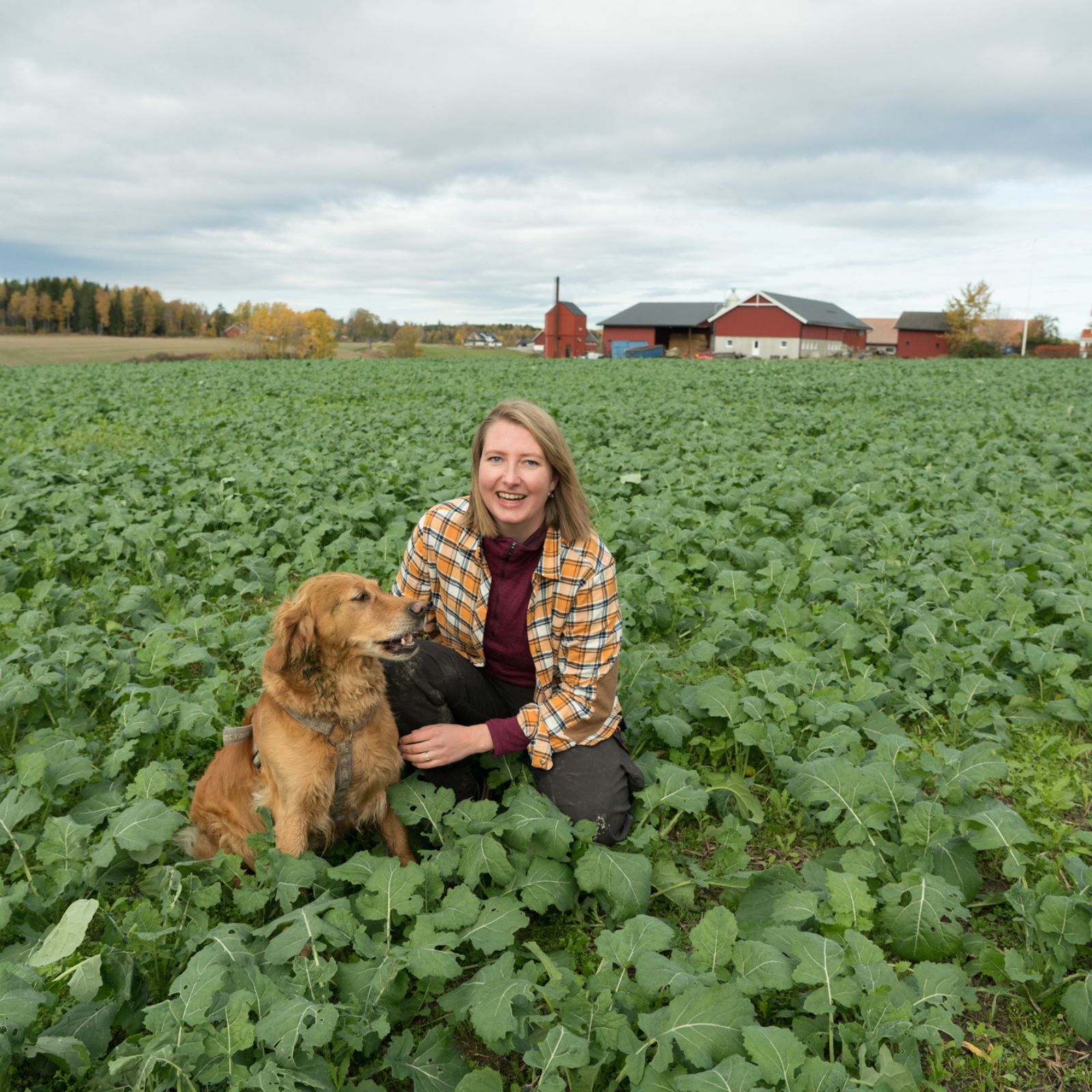 Rådgiver i åkeren